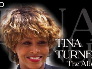 Tina Turner - The Album